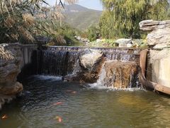 -静之湖湖畔餐厅