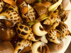 双拼海螺-阿马蛋汤·宁波小海鲜(总店)