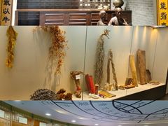 -广东中医药博物馆