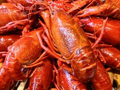 -靓靓蒸虾·头牌蒸虾(沙湖旗舰店)