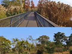 -白鹭湾湿地公园