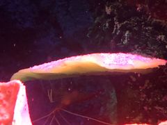 -沈阳海洋探索中心