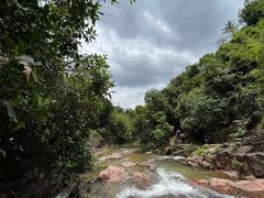 -广州白江湖森林公园