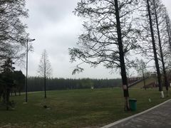 -黄海国家森林公园