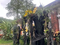 -广州兰圃