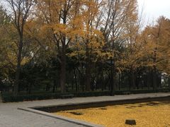 -玲珑塔公园