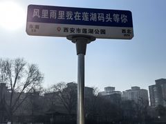-莲湖公园