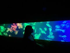 -成都浩海立方海洋公园