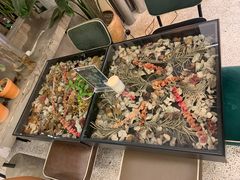 -PlantsEatery·植物食堂(REX春熙店)