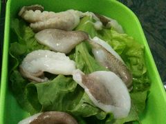 -蚝专家