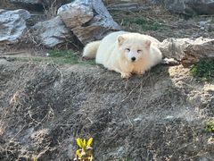 -杭州野生动物世界