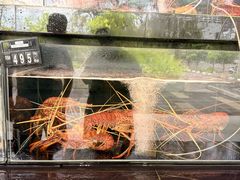 -真浪花园海鲜餐馆