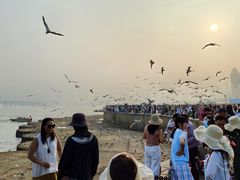 -星海广场