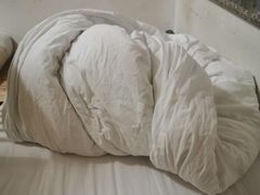 -上海中医药大学附属曙光医院(东部)