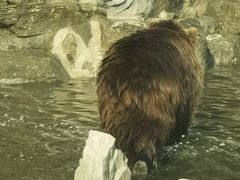 -北京野生动物园