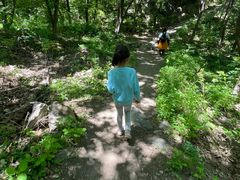 -阳台山自然风景区