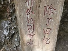 -云南屏边大围山国家公园