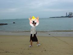 -南丫岛