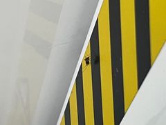 -闸弄口(地铁站)