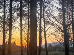 -长田漾湿地公园