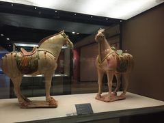 -西安大唐西市博物馆