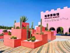 -漳州滨海火山岛自然生态风景区