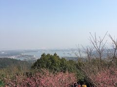 -湖鲜楼