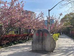 -高东镇樱花园