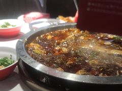 -蜀滋香鲜鱼美蛙火锅(339店)