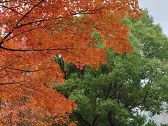 -苏州大学（独墅湖校区）-炳麟图书馆