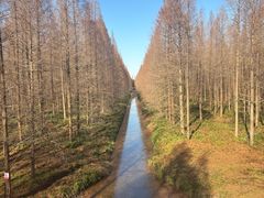 -黄海国家森林公园