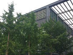 -北京师范大学邱季端体育馆