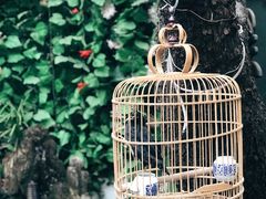 -丽江庭院·云南野生菌·海鲜火锅(鼓楼四合院店)