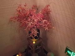 -Dragonfly悠庭·按摩Spa(静安嘉里中心店)