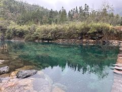 -石台牯牛降景区