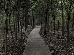 -云龙山