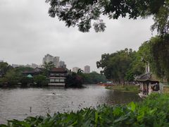 -荔湾湖公园
