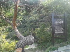-大连金龙寺国家森林公园-售票处