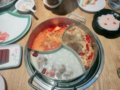 -青瓷火锅料理(西单大悦城店)