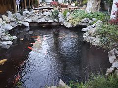 -鲤院·新中式美学·庭院餐厅(夫子庙店)