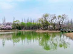 -将府公园