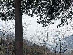 -千岛湖石林