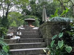 -法云安缦酒店