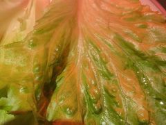 -钱小奴炭烤自助料理·安格斯牛肉(盐城中南城店)