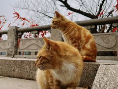 -穹窿山景区