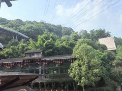 -巴倒烫陆派火锅山庄(南山总店)