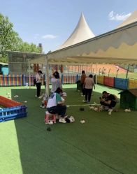 -萌宠亲子动物乐园(槐房万达店)