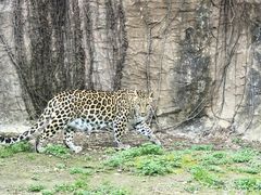 -杭州野生动物世界