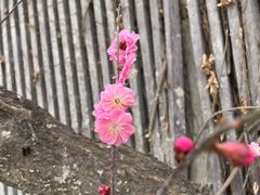 -城市运动公园(未央区)