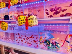 -中环花鸟鱼虫市场